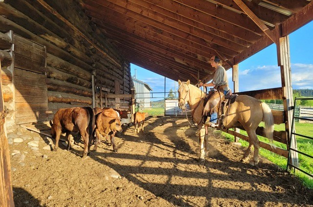 Learning Ranch Life the Real Way